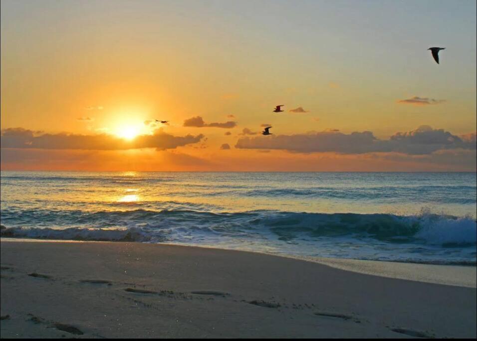 Amazing Beachfront Apartment Cancun Exterior photo